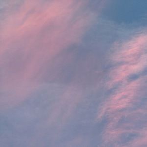 Meet your Posher, Molly